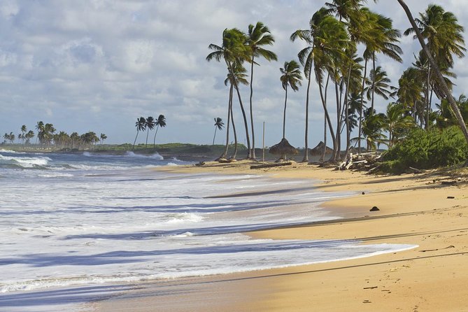 Horseback Riding Adventure Punta Cana - Who this tour is best for (and who should think twice)