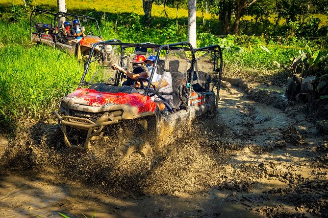 Jungle Buggies and Monkeyland from Punta Cana - Key moments worth getting up early for