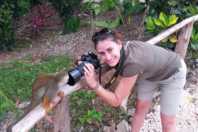 Jungle Buggies and Monkeyland from Punta Cana - Lunch in Dominican style: included, and usually a win