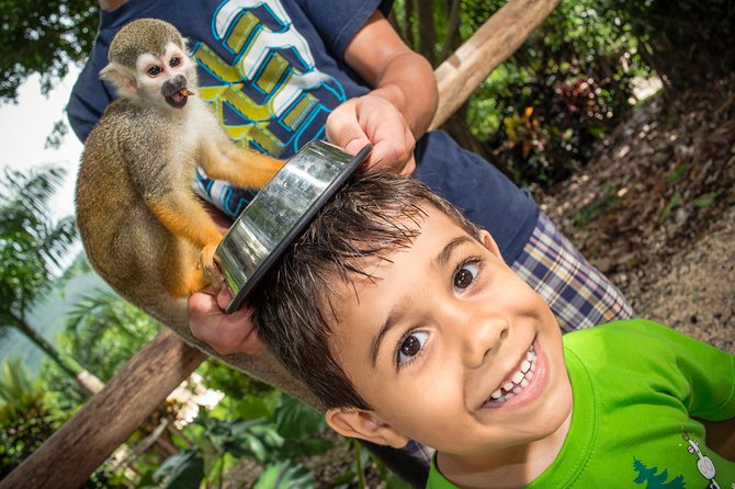 Jungle Buggies and Monkeyland from Punta Cana - Guides, drivers, and real organization: what stands out