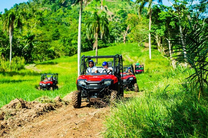 Jungle Buggies and Monkeyland from Punta Cana - Your 4x4 Jungle Buggy ride: driving fun, mud, and river stop reality