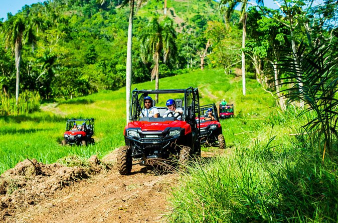Jungle Buggies + Ziplines Adventures - The coconut house (and the cocoa/coffee style stops)