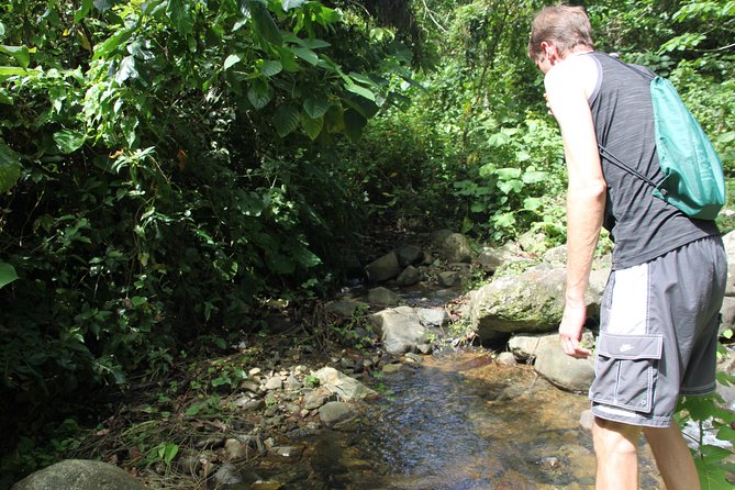 Let's do hiking in Punta Cana - From pickup to Vista Alegre: the part that sets you up right