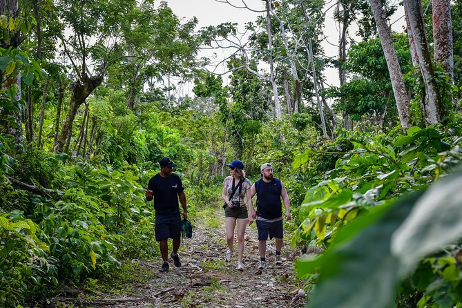 Let's do hiking in Punta Cana - Photo breaks and snack time: the pacing that keeps you smiling