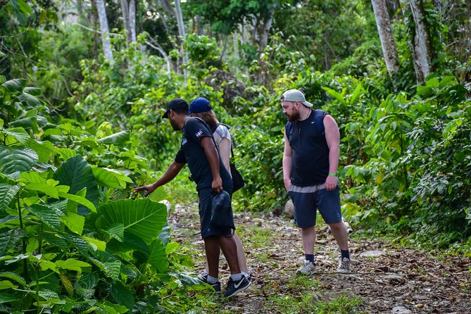 Let's do hiking in Punta Cana - Mud, rain, and footwear: how to prepare without overthinking it