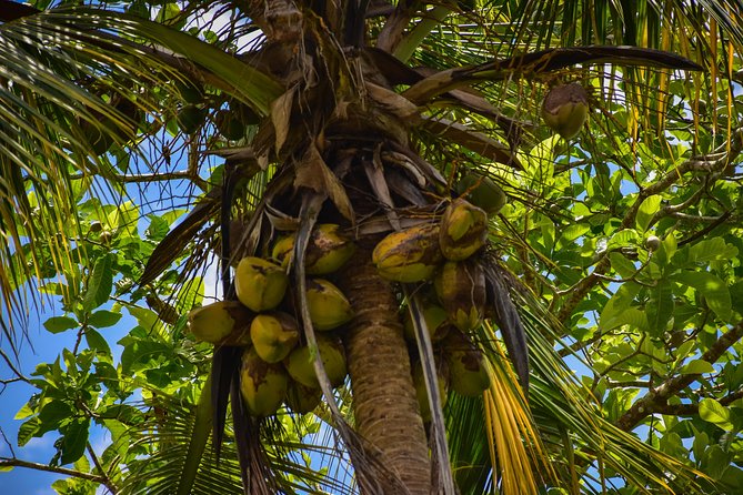 Let's do hiking in Punta Cana - Who this Punta Cana hike fits best (and who should skip it)