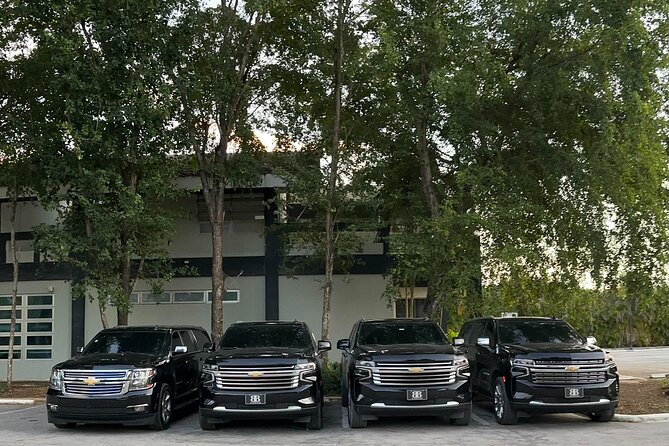 Luxe Black Car Transfer – Cap Cana, Bavaro & Punta Cana Airport - Luggage help and drop-off: the small things that save time