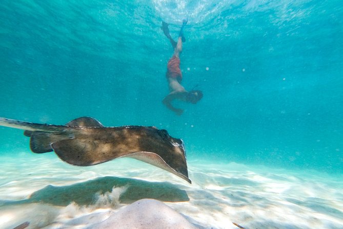 Marinarium Snorkeling Cruise from Punta Cana - Pickup, timing, and the $115 value question