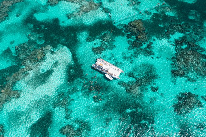 Marinarium Snorkeling Cruise from Punta Cana - What I’d watch out for if you’re a serious snorkeler