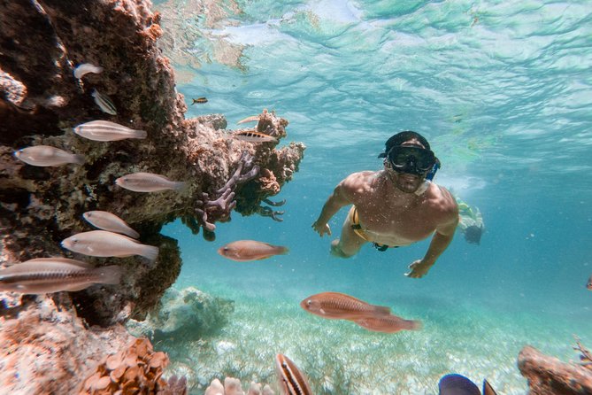 Marinarium Snorkeling Cruise from Punta Cana - The Marinarium animal exhibit: fun, but set your expectations