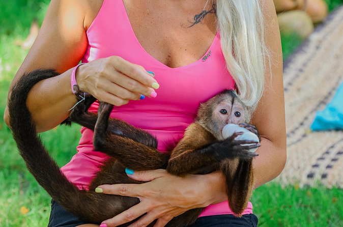 Monkey House VIP Experience with 4 species of monkeys, Punta Cana - What to expect with animal mess and real-life behavior