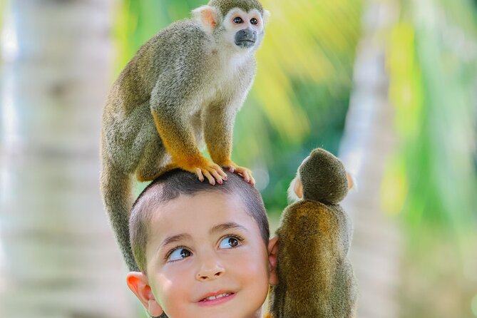 Monkey House VIP Experience with 4 species of monkeys, Punta Cana - Staff and animal care: What seems to work well