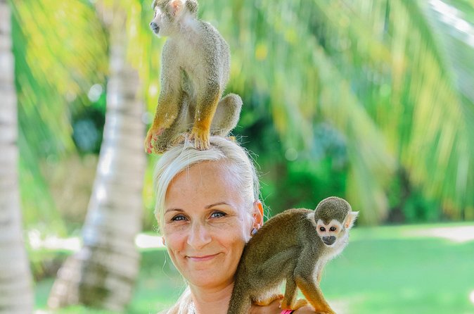 Monkey House VIP Experience with 4 species of monkeys, Punta Cana - Quick practical tips before you go