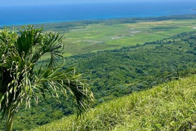 Montaña Redonda View 360 All Inclusive - How the day runs from Punta Cana: timing that actually matters