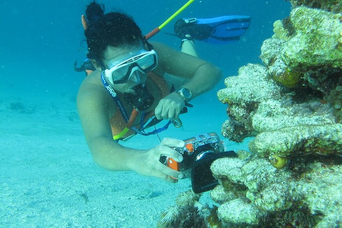 PACKAGE DEAL Catamaran- Snorkeling - Hooka Diving - Parasailing - The Onboard Experience: Open Bar, Dancing, and the Party Crowd
