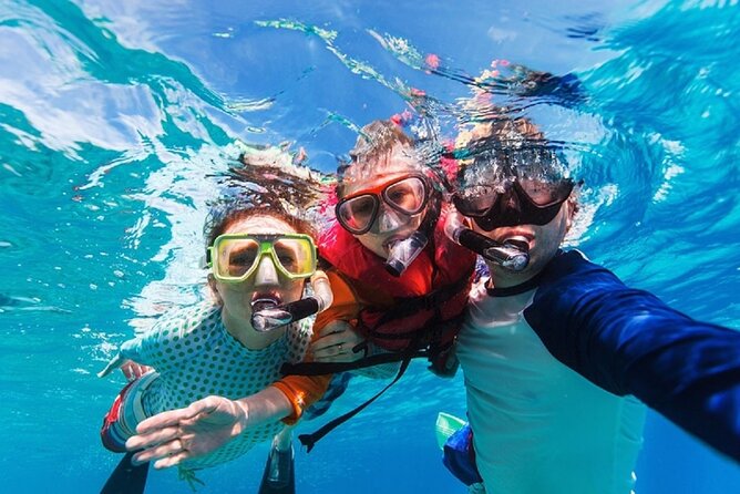 Party Boat Catamaran with Snorkeling from Punta Cana - Dolphins From Afar: A Short Sight-Stop, Not a Guaranteed Encounter