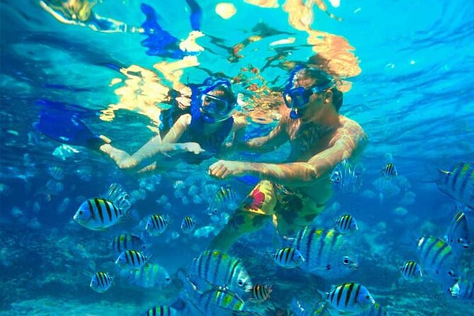 Party Boat Catamaran with Snorkeling from Punta Cana - The Music Volume Tip: How to Still Enjoy It