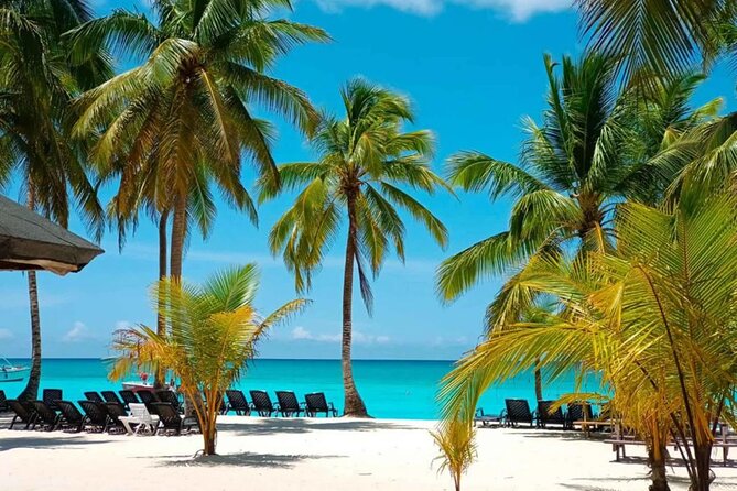 Perfect Day at Saona Island by Speedboat - Completely Private - Key highlights worth getting excited about