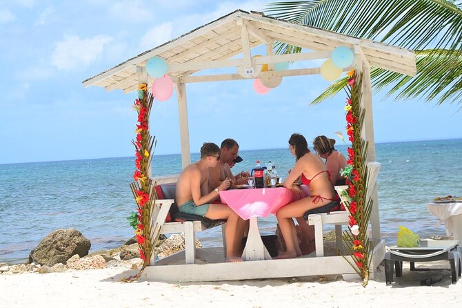 Perfect Day at Saona Island by Speedboat - Completely Private - Isla Saona’s star stops: Turtle Lagoon, Starfish Bay, and Clearwater Beach