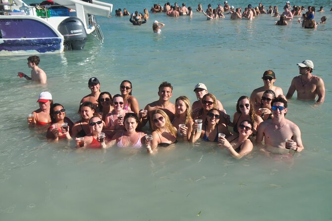 Private Catamaran Cruise with Slide & unlimited drinks - Dolphins from the catamaran: fun when it happens, not a guarantee