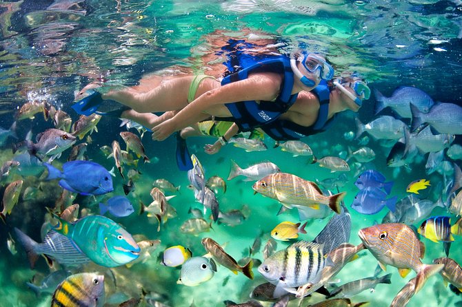 Private Catamaran Snorkeling Family Adventure - The photographer on board: how to avoid surprise costs