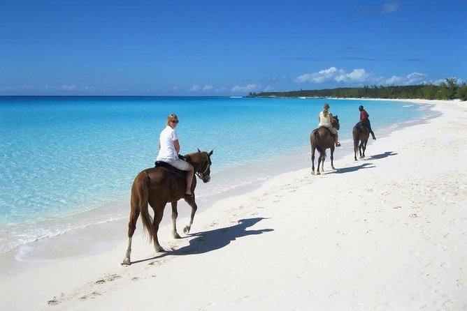 Private Macao Beach horseback riding in punta cana and Bayahibe - Why Macao Beach Horseback Riding Feels Like the Real Punta Cana