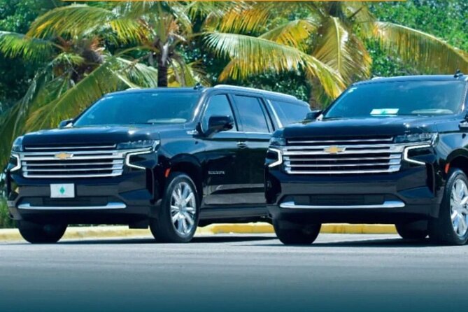 Private transfer from Bávaro Hotels to Punta Cana Airport - What’s on board: AC, WiFi, bottled water, and the drinks factor