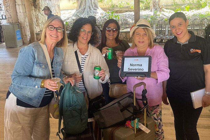 Private Transfer from Punta Cana Airport to Your Hotel - Who this transfer suits best (and who should think twice)