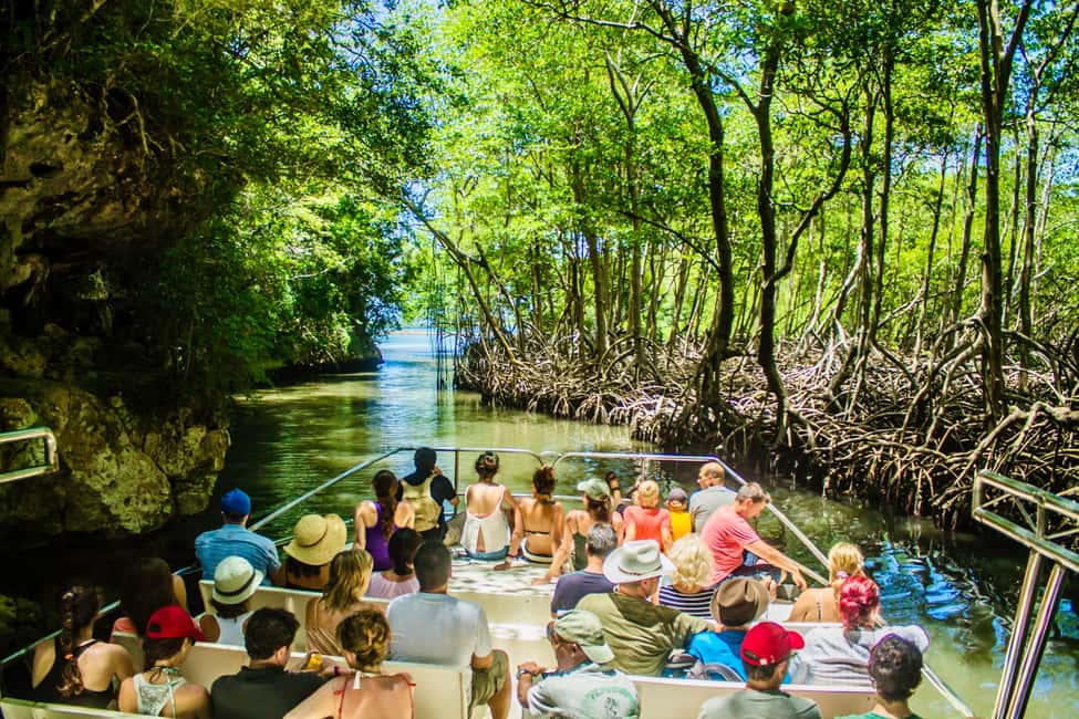 Punta Cana: 3-in-1 Adventure Haitises Park Waterfall Montaña - Key things I’d bank on
