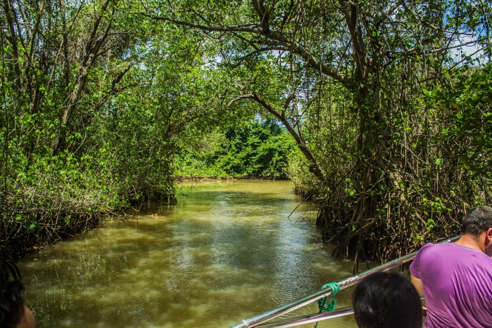 Punta Cana: 3-in-1 Adventure Haitises Park Waterfall Montaña - Timing, pacing, and how to survive the long bus stretches