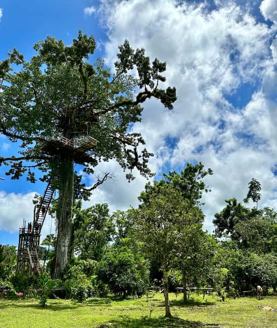 Punta Cana: 3-in-1 Adventure Haitises Park Waterfall Montaña - Photos, shopping, and the part where you should set expectations