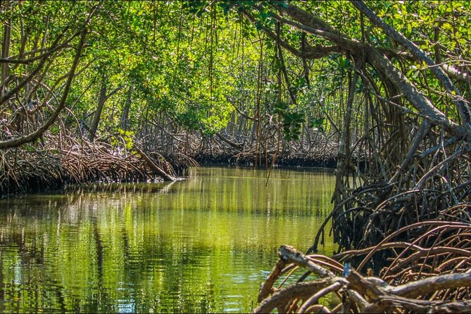 Punta Cana 3in1 Adventure: Los Haitises Park, Waterfall & Montaña - Comfort, driving time, and how to survive a 6:00 am start
