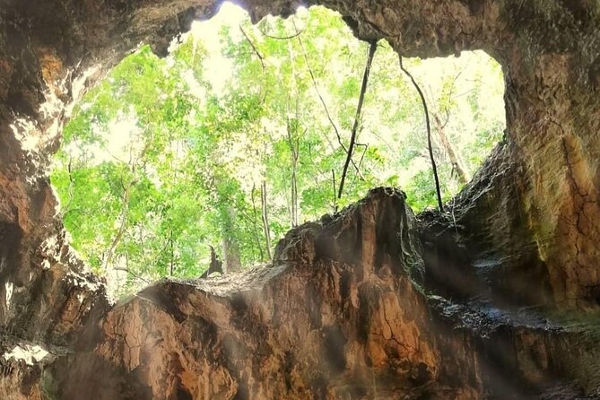 Punta Cana 3in1 Adventure: Los Haitises Park, Waterfall & Montaña - Value check: is $139 worth it?
