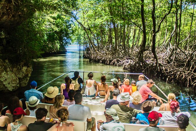 Punta Cana 3in1 Adventure: Los Haitises Park, Waterfall & Montaña - Yanigua Waterfall and the clay spa: where the day turns into water time