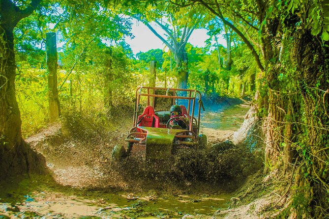 Punta Cana 4 Hours Buggy Tour Cave Macao Beach Free Pick Up - Coffee and cocoa at the typical rural stop