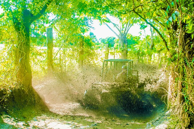 Punta Cana 4 Hours Buggy Tour Cave Macao Beach Free Pick Up - Value check: is $35.70 a good deal?