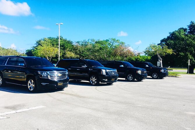 Punta Cana Airport Transfer Bavaro Suburban Trip - Price and Logistics: How $38 Per Group Can Be Good Value