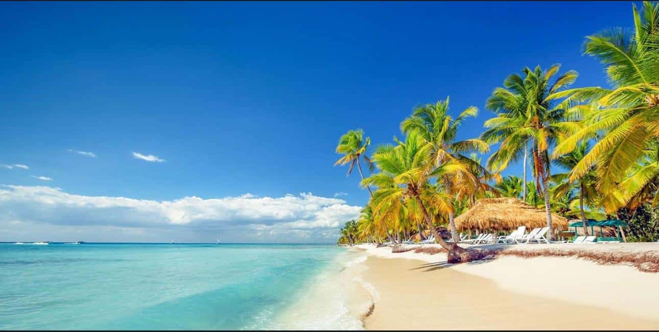Punta Cana ATV Adventure: Beach & Cenote Tour with Pickup - Coffee and Mama Juana Tastings at a Local Farm