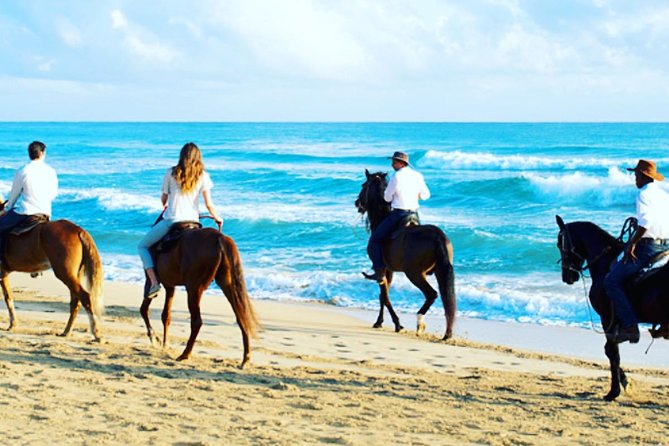 Punta Cana Beach Horseback Riding - Rancho El Diferente and your horse matching moment