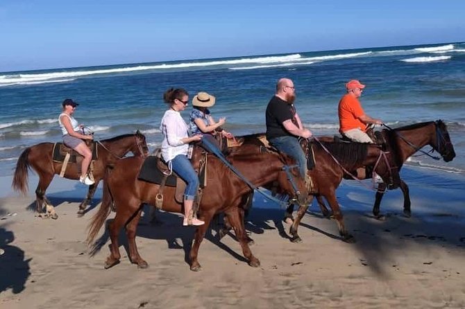 Punta Cana Beach Horseback Riding - Coconut trees, vegetation, and the route off the main drag