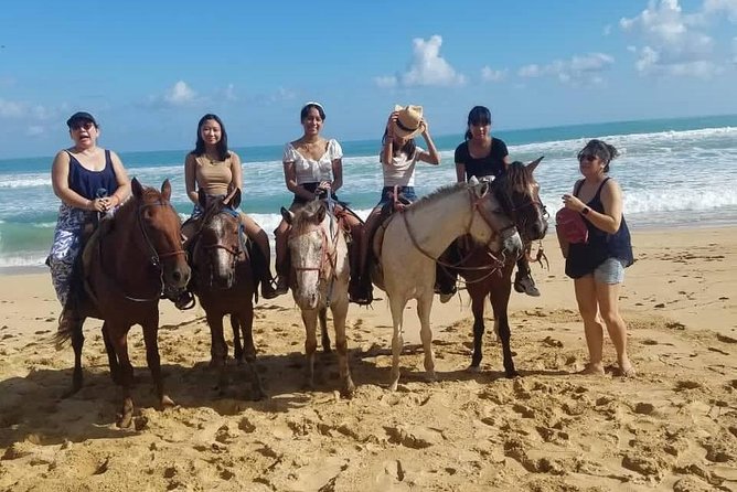Punta Cana Beach Horseback Riding - Price and value: is $58 worth it?