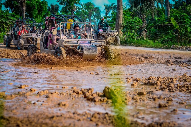 Punta cana Boogie into the Jungle with Coffee and Chocolate Taste - Pickup to Arrival: How the Route Gets You Off the Resort Track