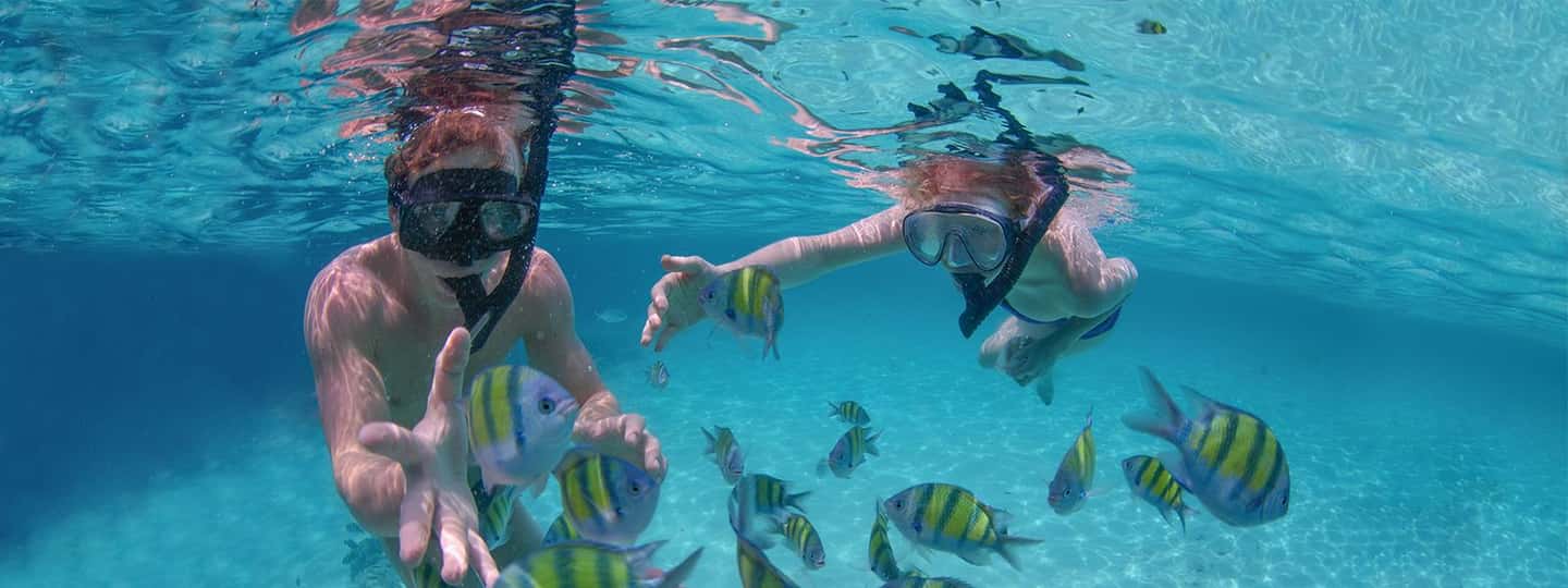 Punta Cana: Catamaran Family Tour - Price and value: how $65 turns into a lot for a short day