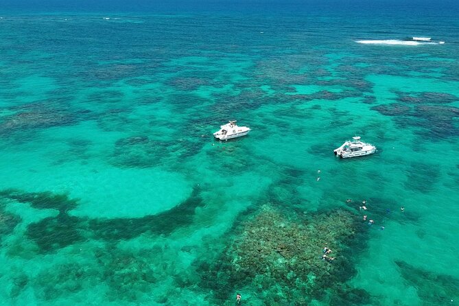 Punta Cana: Catamaran Tour, Reef Snorkeling and Unlimited Drinks! - Key Highlights Worth Booking