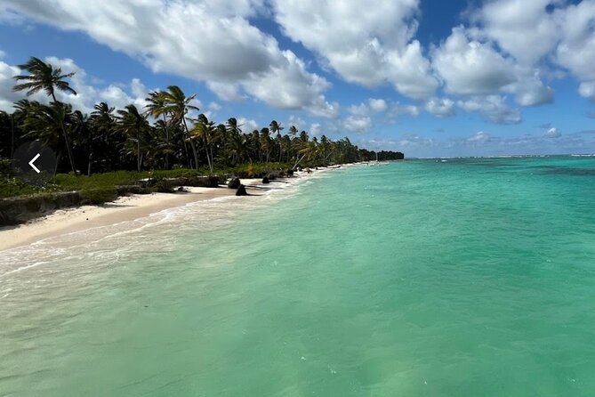 Punta Cana: Catamaran Tour, Reef Snorkeling and Unlimited Drinks! - Reef Snorkeling: What You’ll See and What to Watch For
