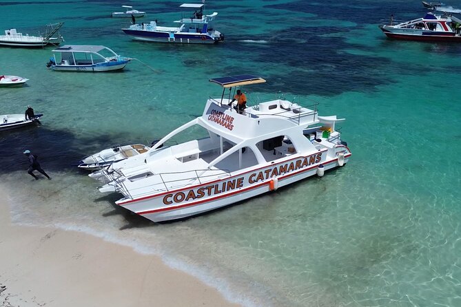 Punta Cana: Catamaran Tour, Reef Snorkeling and Unlimited Drinks! - Bavaro Natural Pool: Why This Shallow-Water Stop Works