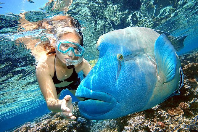 Punta Cana Combo Tour: Snorkeling, Catamaran Cruise & Parasailing - Key things to know before you go