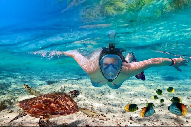 Punta Cana Combo Tour: Snorkeling, Catamaran Cruise & Parasailing - Pickup, meeting point, and why your day could run long