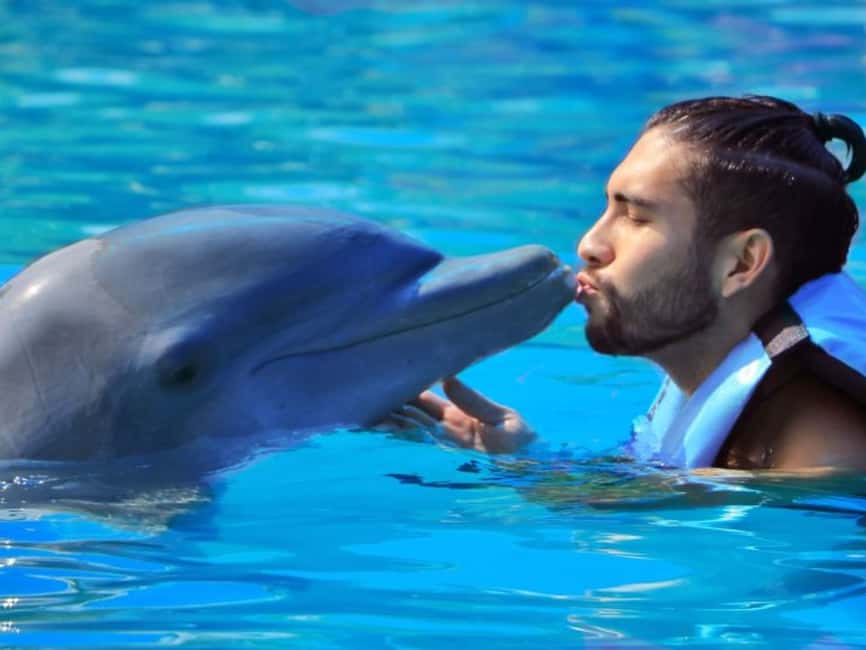 Punta Cana: Dolphin Explorer Park Entry, Swim, or Encounter - Dolphin Explorer in Punta Cana: what you’re really paying for