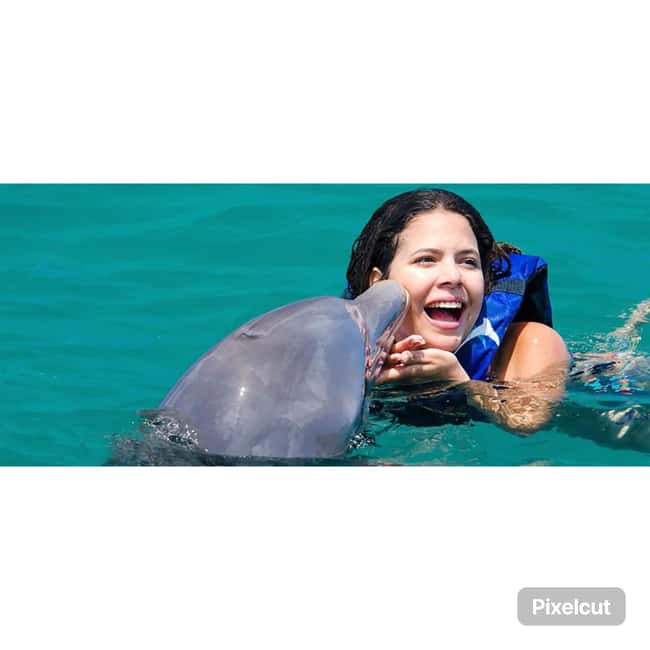 Punta Cana: Dolphin Explorer Park Entry, Swim, or Encounter - Dolphin games and acrobatics: the “wow” moments that stick